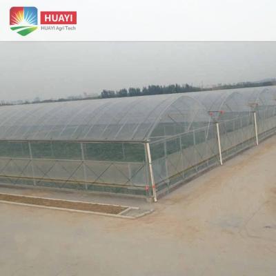 China Full Arch Plastic Sheet Greenhouse Multi-Span Fruit Vegetal Turnkey Project Greenhouse With Tomato Strawberry Hydroponic Growing System for sale