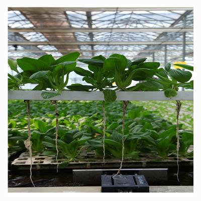 China Fruit Dark Looks Vegetable Plant Growing Sustainable Hydroponic Foam Pot Panel Plant Hydroponics Growing Floating Trays for sale