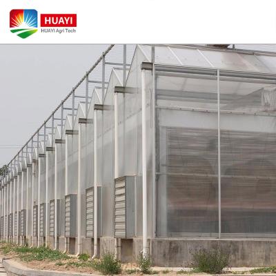 China Comprehensive Stable Structure Polycarbonate Greenhouse Project Manufacturer and Supplier from China for sale