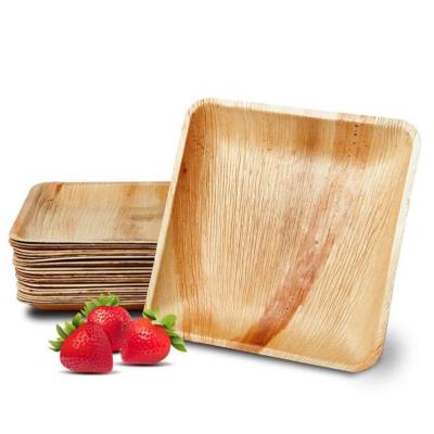 China Minimalist Disposable Biodegradable Palmetto Wood Bamboo Dish For Party for sale