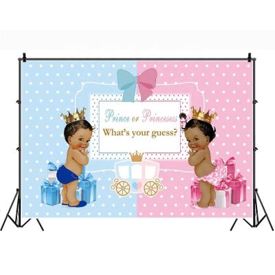 China Room Decoration Prince or Princess What's your guess? Baby Shower Backdrop Pink And Blue Background Baby Gender Reveal Party Decoration for sale