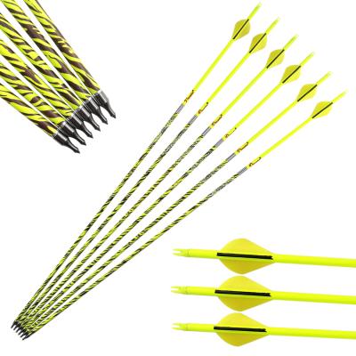 China Hunting Target Practice Pinals Arrows Bow Target Compound Recurve Traditional Bow Archery Hunting Carbon Arrows Shaft for sale