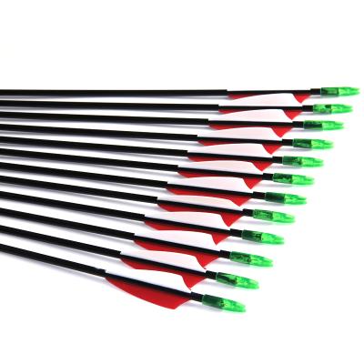 China Chasing Shooting Target Practice Archery Fiberglass Arrow Shaft For Child Compound Recurve Bow Practice Target for sale