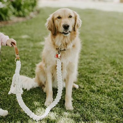 China Art Decor High Quality New Boho Cute Cotton Hand - Woven Macrame Dog Leash Pet Leash Collar for sale