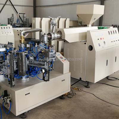 China Egypt Ice Tube Bottle Automatic Plastic Mold Blowing Machine for sale