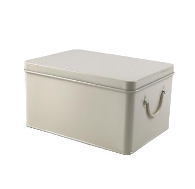 China Garden Tool Metal Flower Plant Seed Box Modern Hot Selling Rectangular Galvanized Seed Storage Box for sale