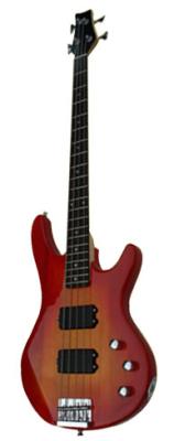 China 5 String 4 inch 2 Humbuckers Electric Bass Guitar Hard wood Body AGB43-EB2 for sale