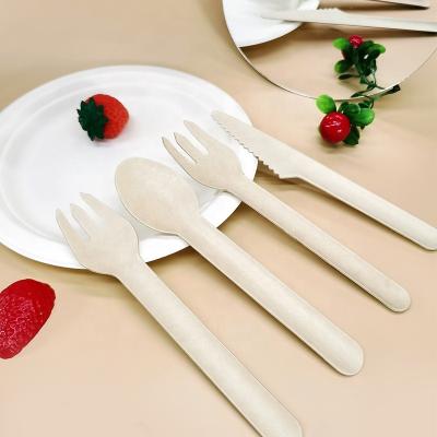 China Flustix Dyrable Disposable Plastic Free Paper Cutlery China Manufacturer for sale