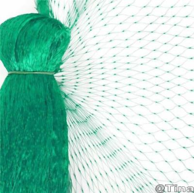 China High Strength HDPE Plant Protective Anti Bird Agricultural Plastic Netting for sale