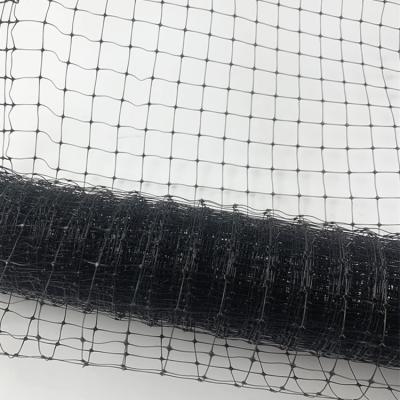 China Plastic Garden Deer Fence Anti Mole Netting /Garden Bird Netting For Deer, Plants, Grape for sale