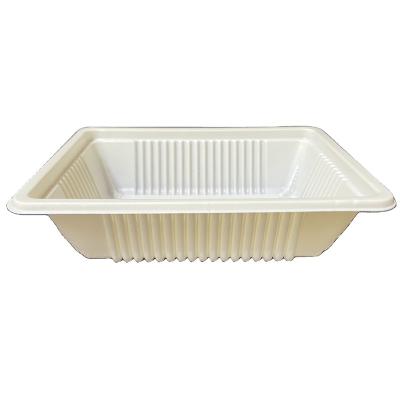 China Wholesale Disposable Food Packaging Blister Box PP Plastic Container Small Disposable Food Box for sale