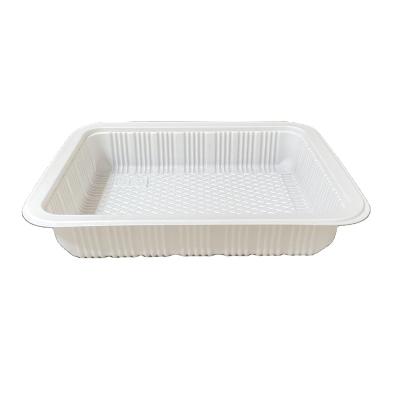 China Disposable Popular Recyclable Plastic PP Blister Food Container Blister Box Plastic Box Packaging for sale