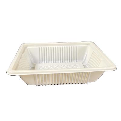 China Wholesale Disposable Food Box Small Plastic Blister Box PP Food Packaging Container for sale