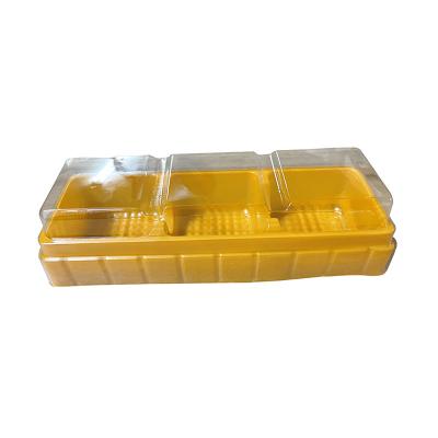 China Disposable Hot Sales Blister Liner Pineapple Eco - Friendly Cake Box With Cover for sale