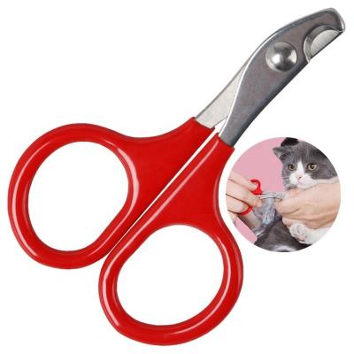 China Viable Wholesale Pet Cat Small Professional Special Alloy Steel Stain Cat Nail Scissors Special Animal Scissors for sale