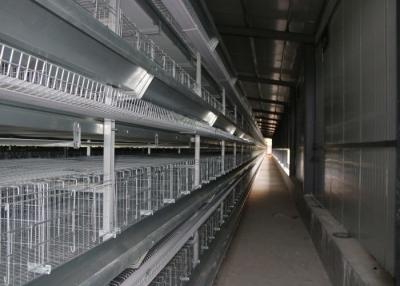 Chine Type à haute densité cage de H de poulet de couche anticorrosion pour la Chambre de poulet fermée à vendre