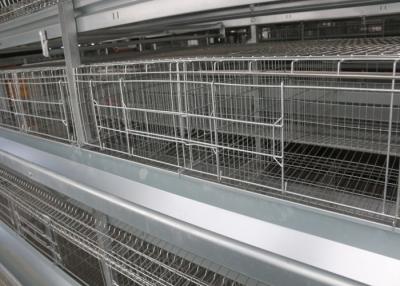 Chine La poule de couche de rendement élevé met en cage le système de cage de batterie pour les couches ISO9001 approuvées à vendre