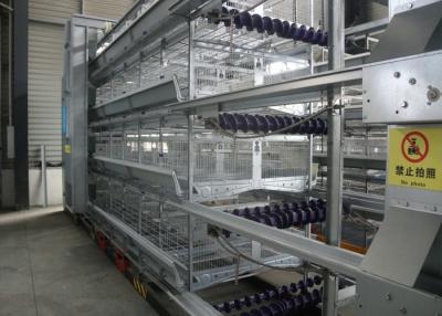 Chine La santé de cages de batterie de poulet d'aviculture câble des cages de volaille à faible bruit à vendre