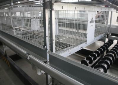 Chine La ferme avicole par couche de cadre met en cage le matériel en acier standard de 1200×625×480 le millimètre Q235 à vendre