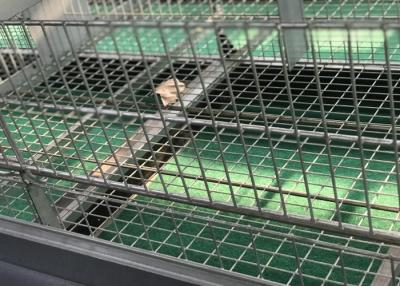 Chine Circuits de refroidissement commerciaux de volaille de ferme d'oiseau de cailles pour des poules de couches de poulets à rôtir à vendre