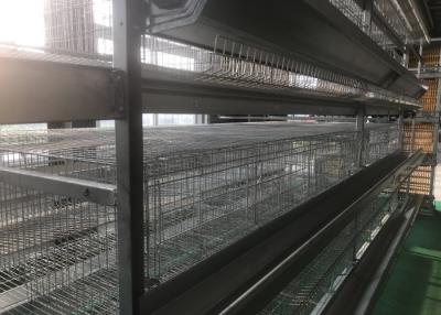 Chine Système de alimentation de ferme avicole industrielle Chambre confortable de volaille de cage à vendre