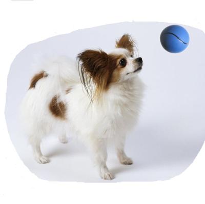 China 2019 New Products Viable Rubber Bouncing Ball Rubber Dog Toys for sale