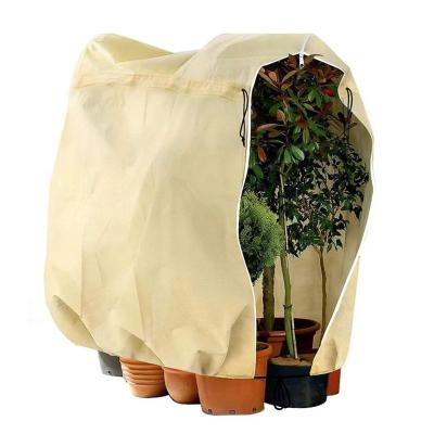 China Modern Wholesale Anti-ultraviolet Plant Pot Cover Anti-insect Anti-Bird Waterproof Antifreeze for sale