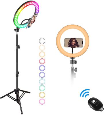 China Good Hot 2022 Led Light For Tik Tok Ring Light 10 Inch LED Photography Selfie Ring Light Lamp For Makeup K-48 for sale