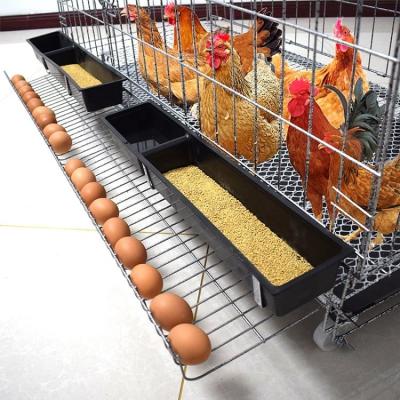 China Farms Affordable Price Design Animal System Poultry House Farm Egg Layer Chicken Cage For Broilers And Baby Chicks for sale