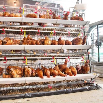 China Space Saving Galvanized Poultry Broiler Broiler Egg Laying Chicken Layer Cage For Sale for sale