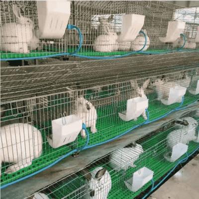 China Easy Management Cheap Galvanized Welded Industrial System Animal Farming Large Commercial Rabbit Breeding Cage For Sale for sale