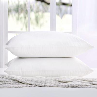 China Anti-Static King Size Pillow Protector, Zippered Pillow Covers 2 Packs, 20