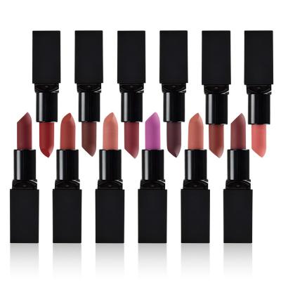 China Waterproof No Logo Private Label Vegan Long Lasting Smooth Matte Lipstick Cosmetics for sale