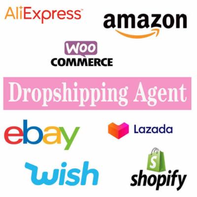 China Free 30 days Dropshipping Shopify LAZADA Amazon Ebay Instagram Aliexpress Facebook no minimum order for sale