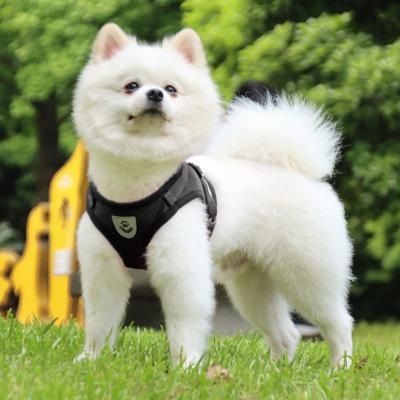 China High Quality Stocked Polyester Mesh Adjustable Soft Pet Dog Harness Vest For Small Medium for sale