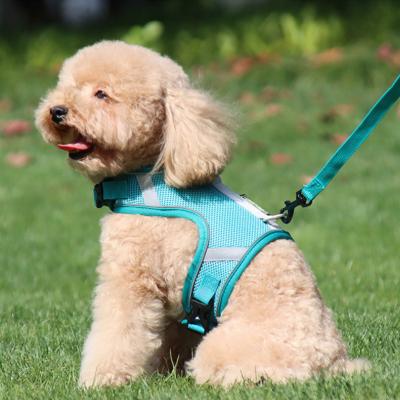 China Customized Reflective Breathable Stocked Logo Soft Padded Leash Set Dog Harness For Small Medium Large Dogs for sale