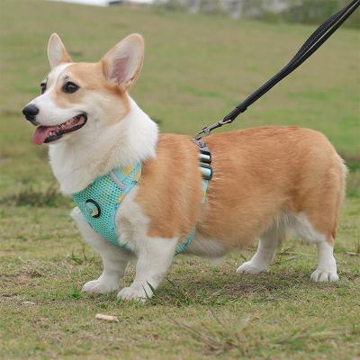 China Stocked Wholesale Breathable Mesh Cloth Printed Pet Dog Harness 2023 Dog Harness Pet Supplies for sale