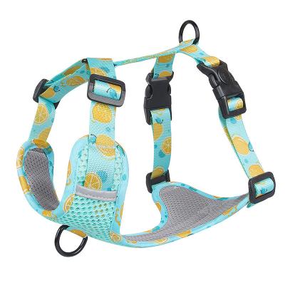 China Adjustable Reflective Frenchie Stocked No Pull Safety Pet Vest Dog Harness And Leash Set Soft Buckle Closure Dog Harnesses for sale