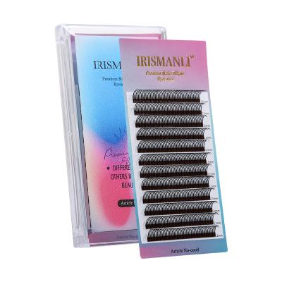 China Natural Long Length 0.05 Natura Black Soft Whispy 5D Lash Individual Eyelash Extensions Supplies from Wholesale 8-14mm from IRISMANLI for sale