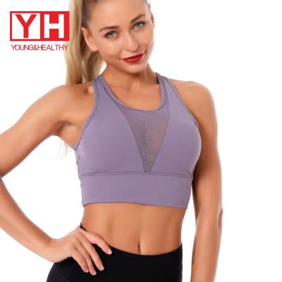 China Wholesale RTS Srocked Gym Clothing Breathable Mesh Sports Yoga Bra For Fast Shipping Girls for sale