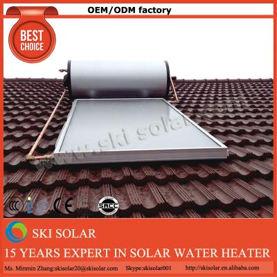 China Stainless Steel Or Steel Air Jordans Colorful Solar Water Heater Chart for sale