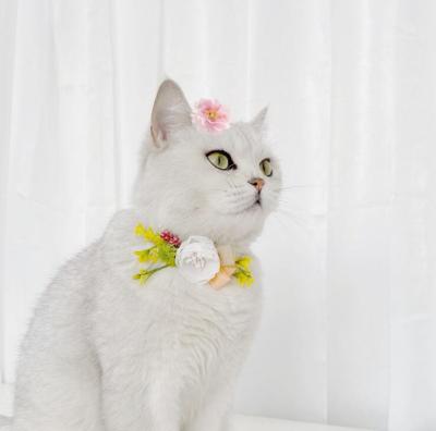 China Thoughtful Handmade Pet Garlands Collar Pet Dog Flower Collar Cat Headdress Floral Cat Teddy for sale