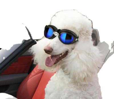 China Viable Wholesale Foldable Pet Sun Glasses With Adjustable Strap Dog Glass Sunglasses for sale