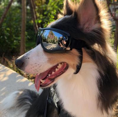 China Viable Large Pet Sunglasses UV Dog Sunglasses Dog Accessories for sale