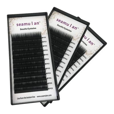 China Natural Soft Professional Eyelash Extensions PBT Individual Korean Eyelash Extension for sale