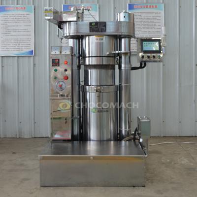 China Shea Penuts Multi Carbon Steel Edible Machine Cold Sesame Oil Plant Line Press for sale