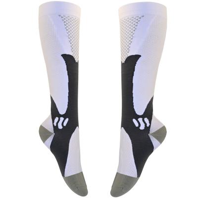 China Customizable modern high quality breathable sports knee socks made in China for sale