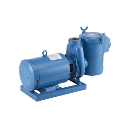 China High Power Blue Swimming Pool Pump Booster Pump Filter Pump Dolphin Anti-Corrosion Swimming Pool Pump Using Cast Copper Material for sale