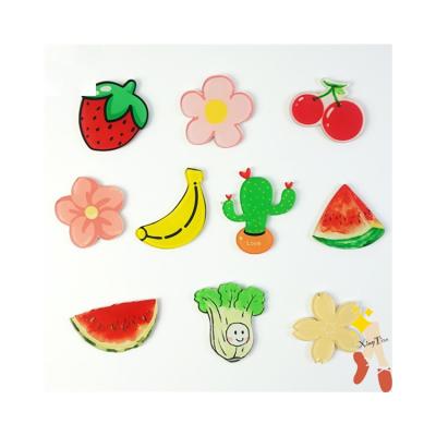 China Yiqun animal factory direct high quality acrylic fridge magnet clips for sale for sale