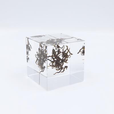 China China 2022 new resin dandelion cartel craft table decor block acrylic natural clear crystal cube romantic birthday gift for sale